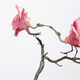 Illustration for article titled Nature Photos That Will Rock Your World
